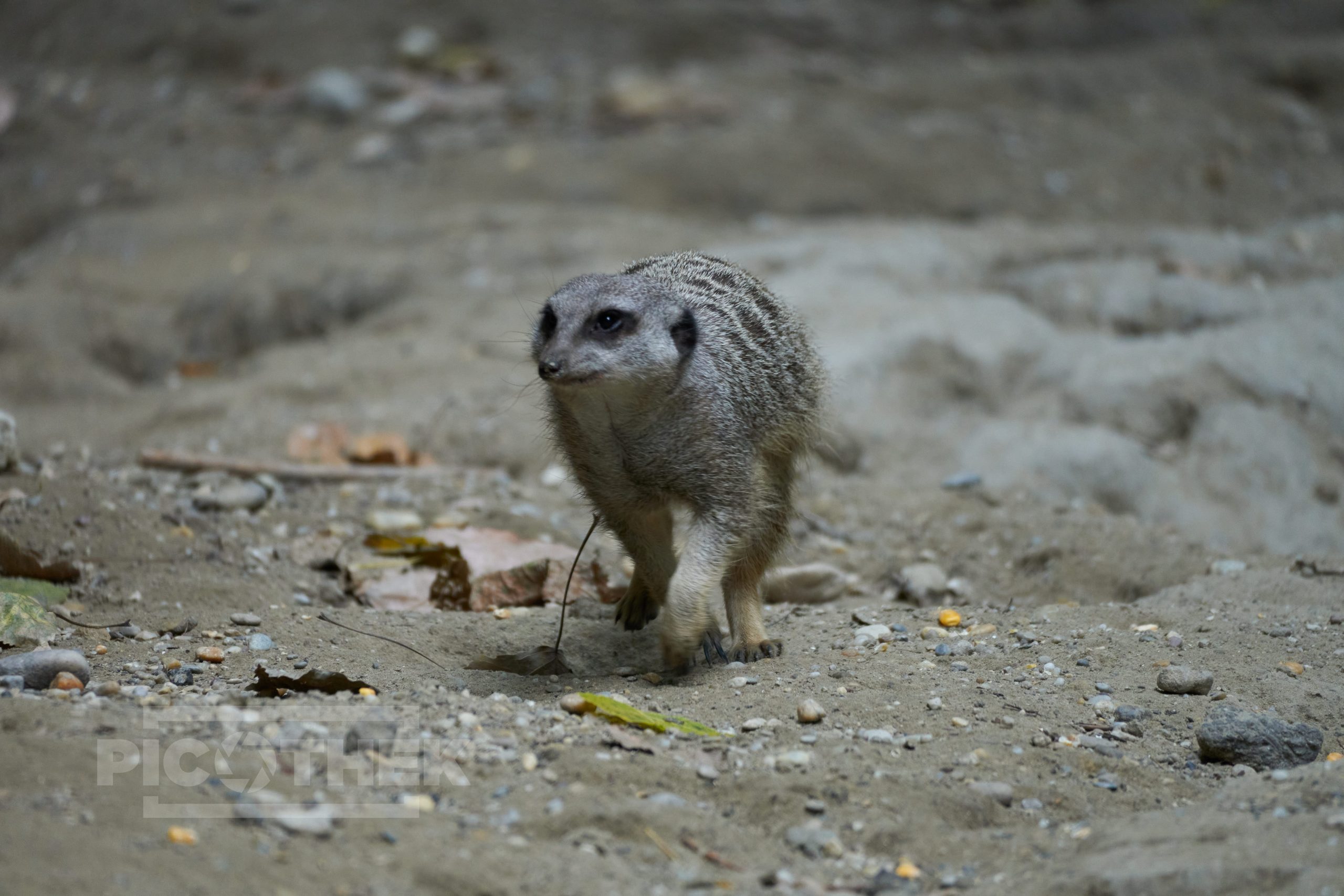 Tierpark Pamhagen 2022