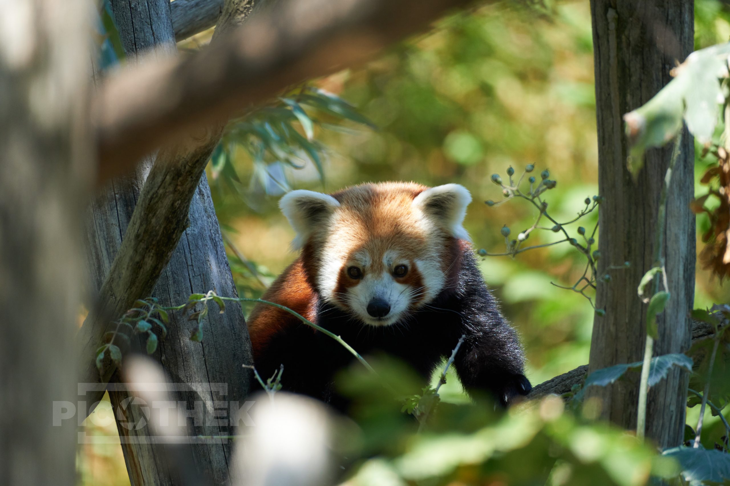 Schönbrunn 2022 Teil 1