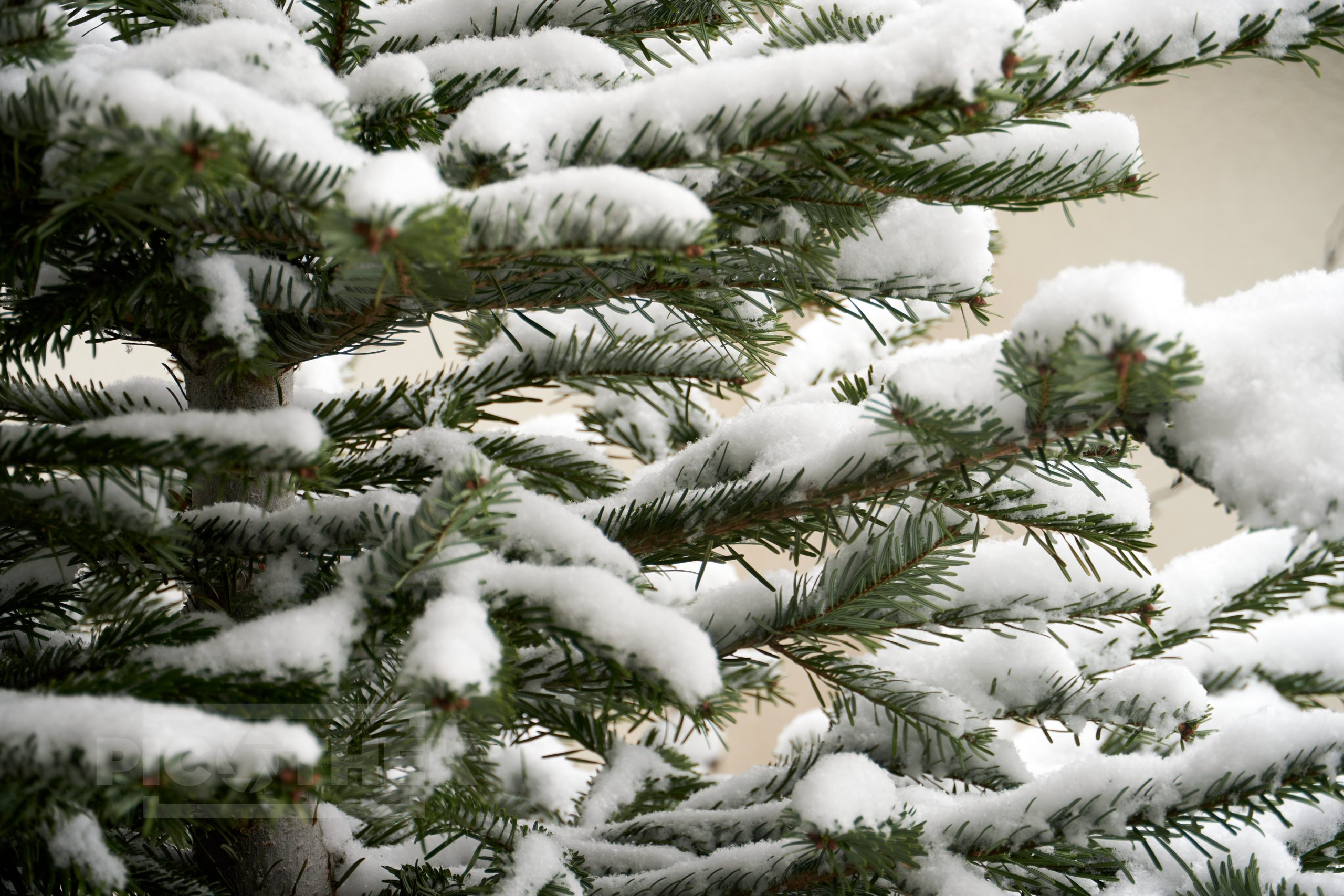 Winter auf der Terrasse